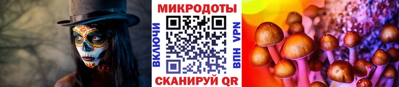 omg ссылки  Ртищево  Псилоцибиновые грибы Psilocybine cubensis  закладки 